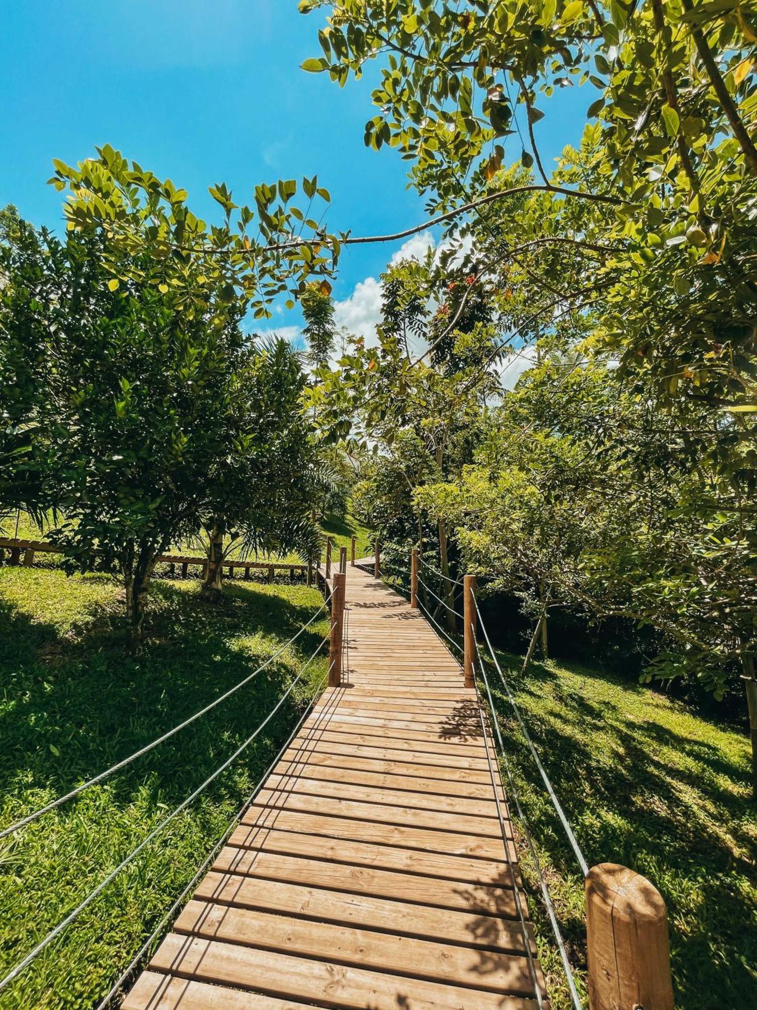 Glamping Entre Rios Hotel Calarca Exterior photo